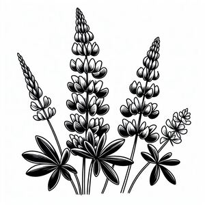 A black and white drawing of flowers on a white background