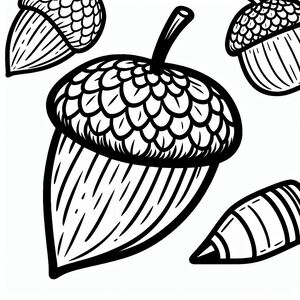 A black and white drawing of acorns and leaves