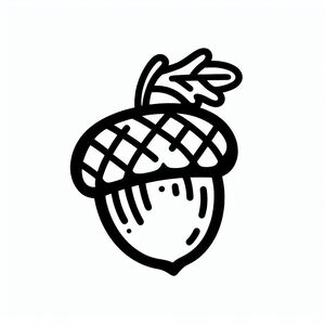 A black and white drawing of an acorn 2