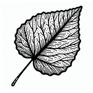 A black and white drawing of a leaf 4