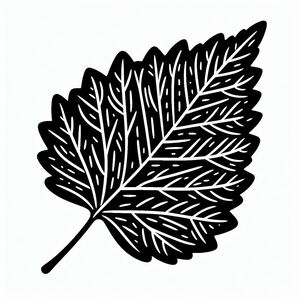 A black and white drawing of a leaf 3