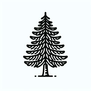 A black and white drawing of a pine tree