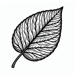 A black and white drawing of a leaf 3