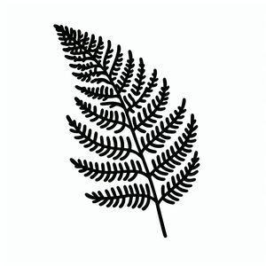 A black and white drawing of a fern leaf 2