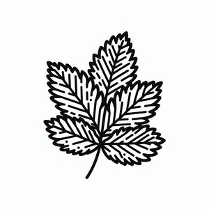 A black and white drawing of a leaf 3