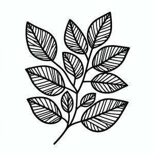 A black and white drawing of a leaf 4