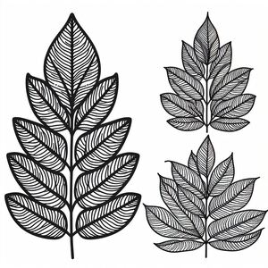 Three different types of leaves on a white background