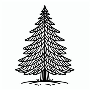 A black and white drawing of a pine tree