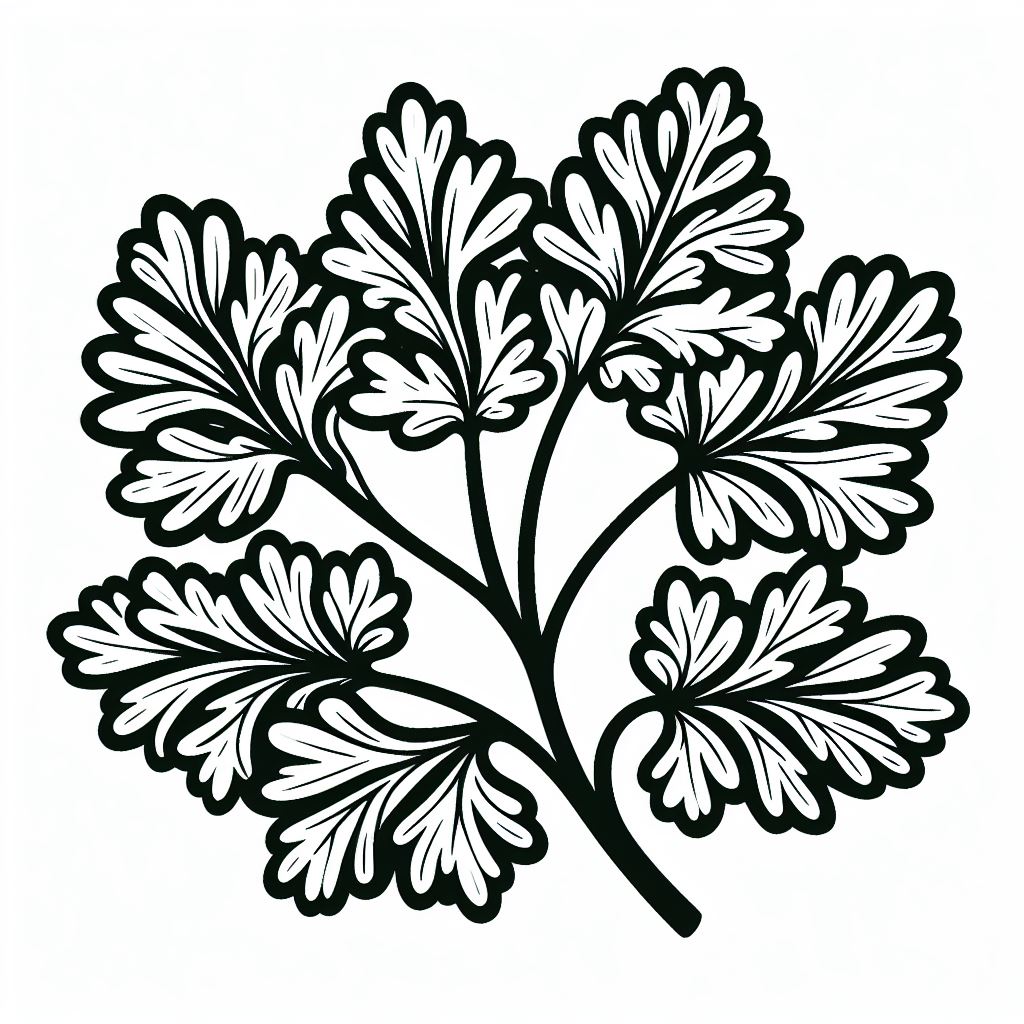 A black and white drawing of a plant