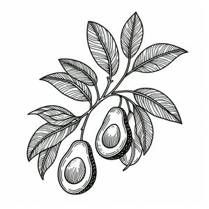 A drawing of an avocado on a branch with leaves