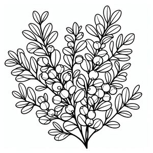 A black and white drawing of a plant