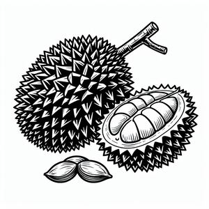 A black and white drawing of a fruit