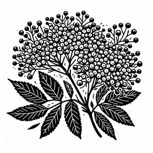 A black and white drawing of a bunch of flowers