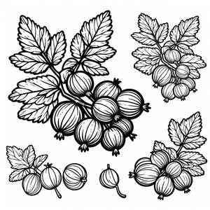 A black and white drawing of leaves and berries