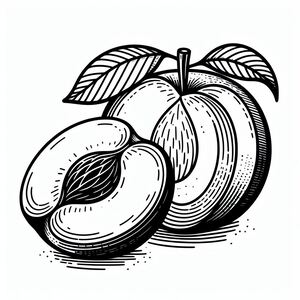 A black and white drawing of a peach