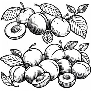 A black and white drawing of apples with leaves 2
