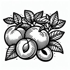 A black and white drawing of apples with leaves