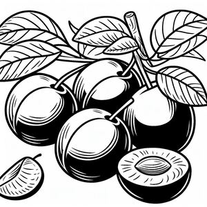 A black and white drawing of some fruit