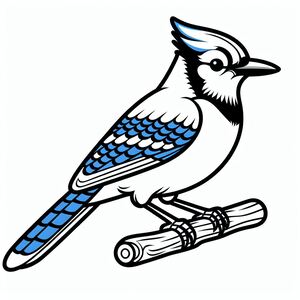 Blue Jay 1