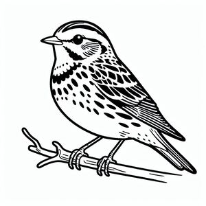 Lark Bunting 2