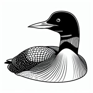 Common Loon 2