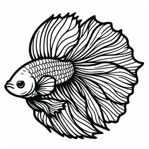 Betta fish