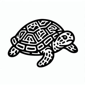 A black and white drawing of a turtle