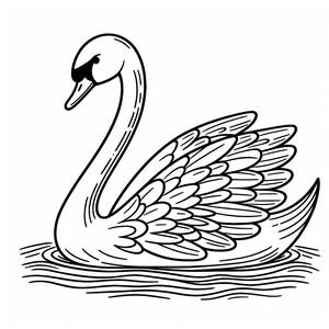 A black and white swan swimming in the water 4
