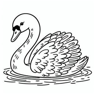 A black and white swan swimming in the water