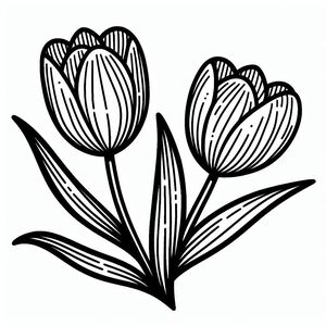 A black and white drawing of two flowers