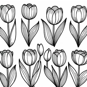 A line drawing of tulips