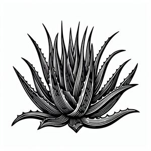 A black and white drawing of a plant 4