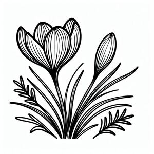 A black and white drawing of a flower