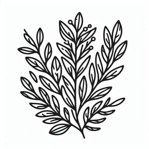 A black and white drawing of a plant