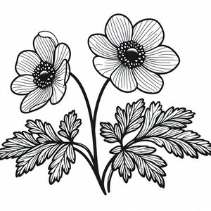 A black and white drawing of two flowers