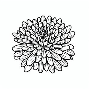 A black and white drawing of a flower