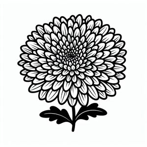 A black and white drawing of a large flower