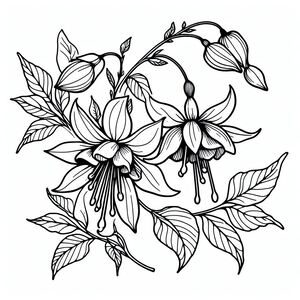A black and white drawing of flowers