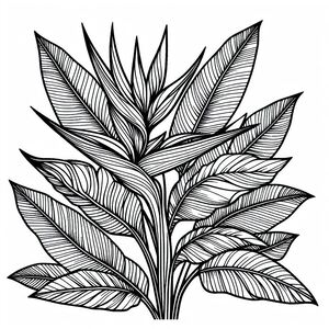 A black and white drawing of a plant 2