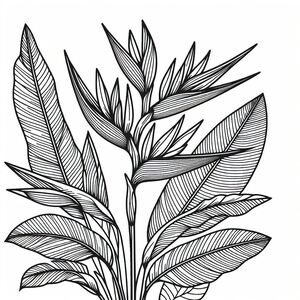 A black and white drawing of a plant