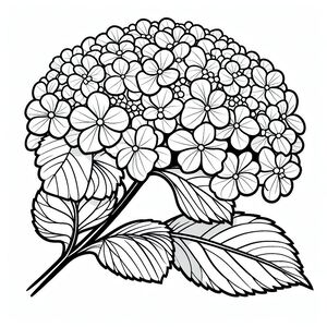 A black and white drawing of a flower 3