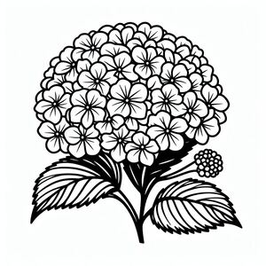 A black and white drawing of a flower