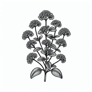 A black and white drawing of flowers