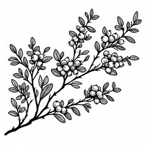 A black and white drawing of a branch with berries