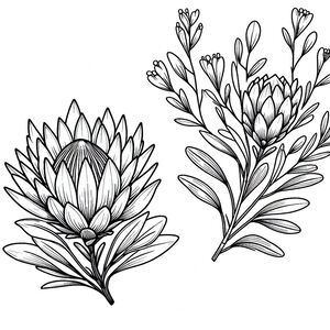A black and white drawing of a flower 2