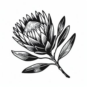 A black and white drawing of a flower 3