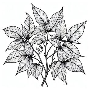A black and white drawing of a plant with leaves 2