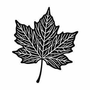 A black and white drawing of a leaf 3