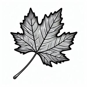 A black and white drawing of a leaf 4