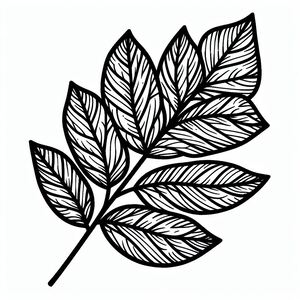 A black and white drawing of a leaf